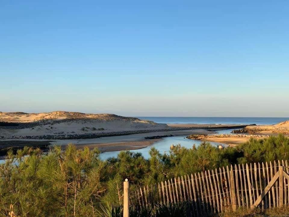 Les Dunes De Contis Saint-Julien-en-Born Dış mekan fotoğraf